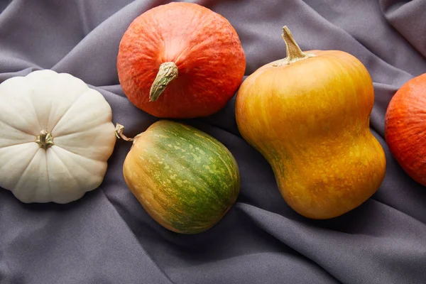 Ripe whole colorful pumpkins on grey cloth — Stock Photo