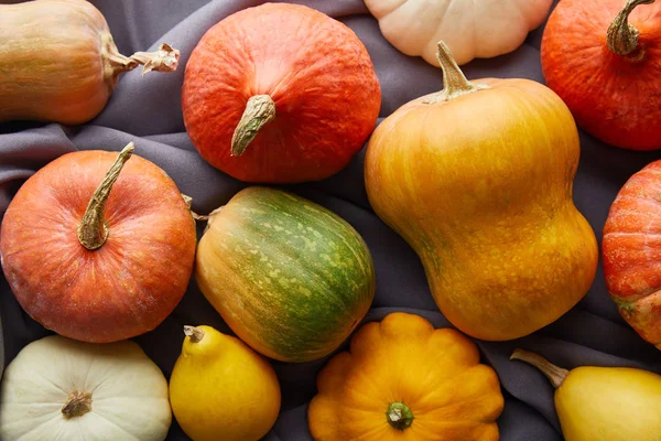 Calabazas coloridas enteras maduras en tela gris - foto de stock