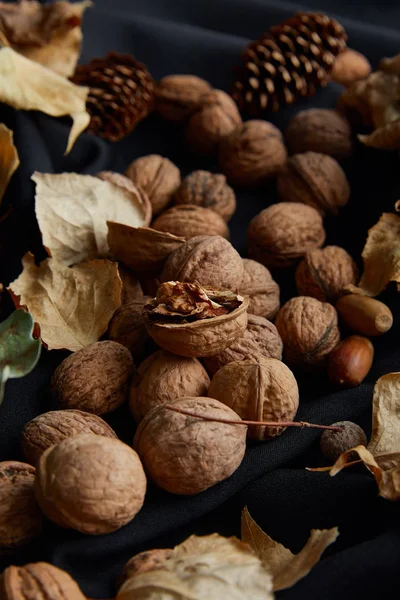 Nueces, conos y follaje seco sobre tela negra - foto de stock