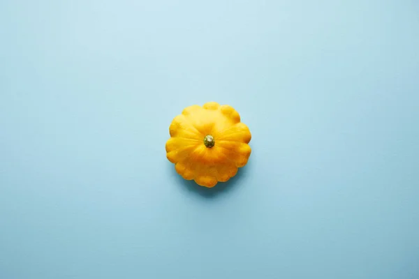 Ripe whole colorful Pattypan squash on blue background — Stock Photo