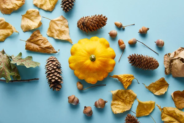 Ripe whole colorful Pattypan squash and autumnal decor on blue background — Stock Photo