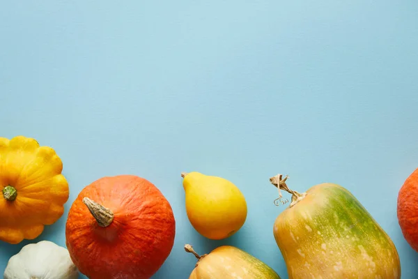 Reife ganze bunte Kürbisse auf blauem Hintergrund mit Kopierraum — Stockfoto