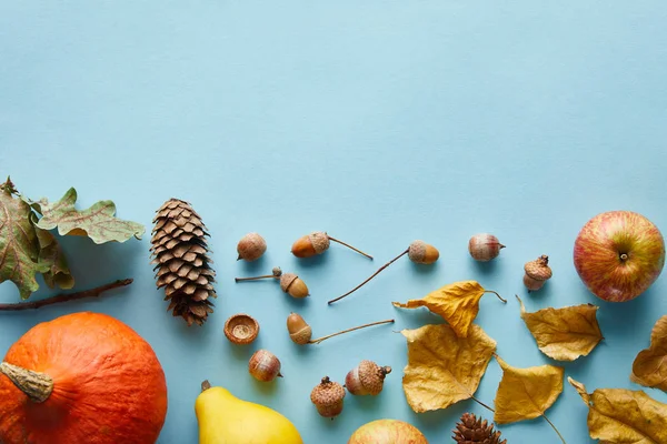 Calabazas coloridas enteras maduras y decoración otoñal sobre fondo azul con espacio para copiar - foto de stock