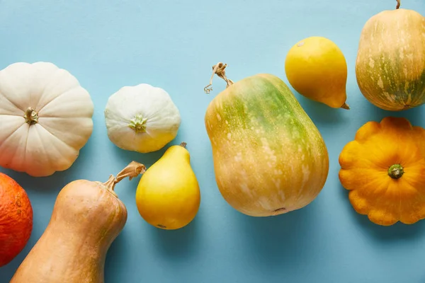 Reife ganze bunte Kürbisse auf blauem Hintergrund — Stockfoto