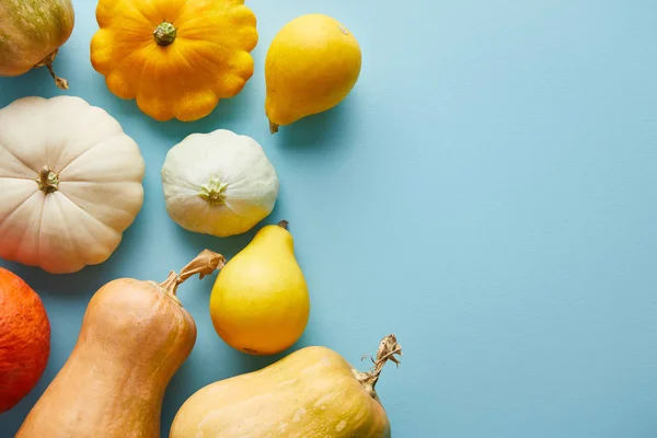 Zucche colorate intere mature su sfondo blu con spazio di copia — Foto stock