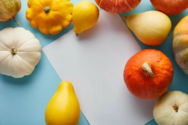 Citrouilles colorées entières mûres sur fond bleu avec du papier blanc blanc — Photo de stock