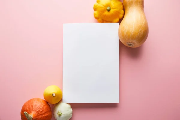 Ripe whole colorful pumpkins on pink background with white blank paper — Stock Photo