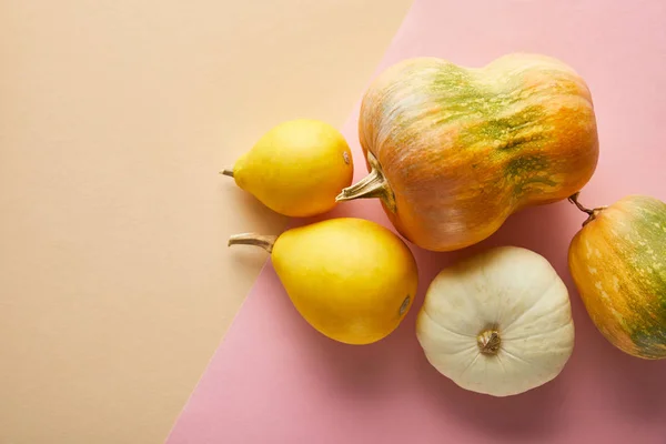 Vue de dessus de citrouilles colorées entières mûres sur fond rose et beige — Photo de stock