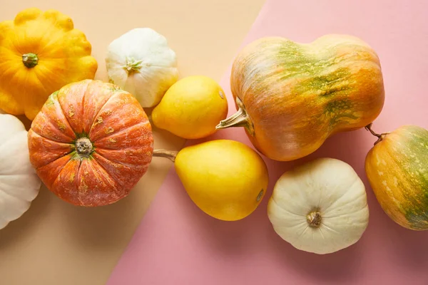 Vue de dessus de citrouilles colorées entières mûres sur fond rose et beige — Photo de stock