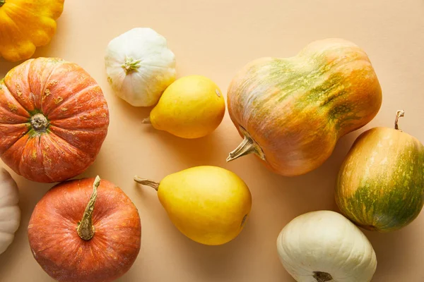 Vue de dessus de citrouilles colorées entières mûres sur fond beige — Photo de stock