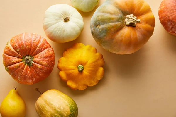 Vue de dessus de citrouilles colorées entières mûres sur fond beige — Photo de stock