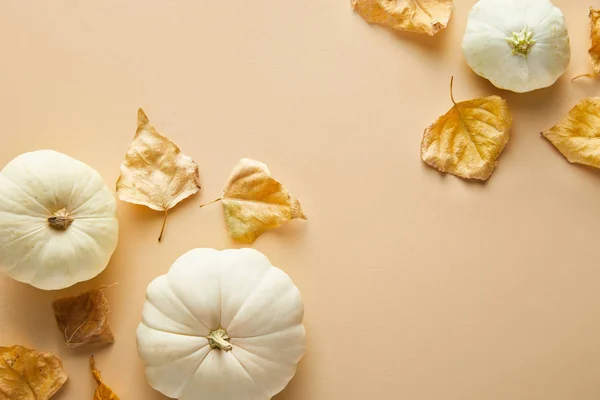Top view of ripe whole white pumpkins with dry golden foliage on beige background — Stock Photo