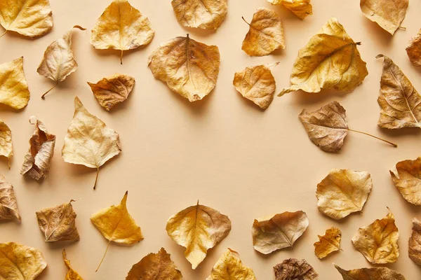 Вид сухой золотой листвы на бежевом фоне с копировальным пространством — стоковое фото