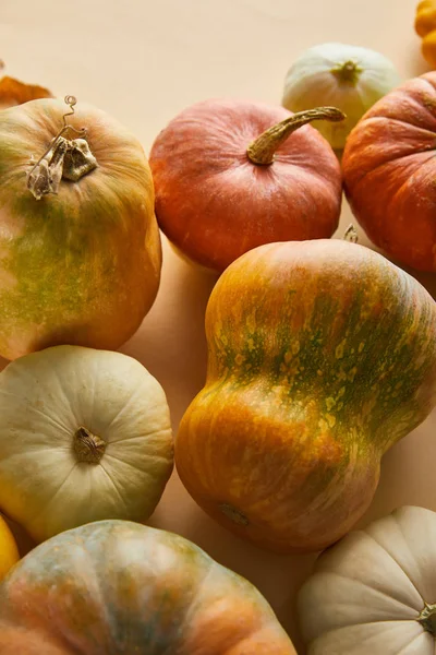 Calabazas enteras maduras sobre fondo beige - foto de stock