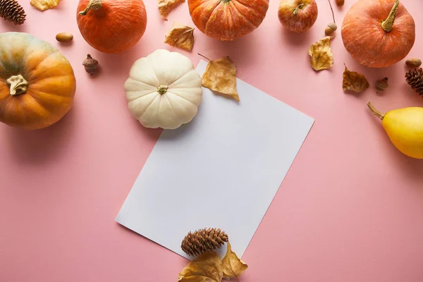 Zucche colorate intere mature con decorazioni autunnali e carta bianca bianca su sfondo rosa — Foto stock