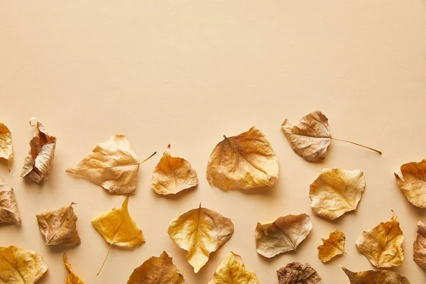 Вид зверху на сухе золоте листя на бежевому фоні з пробілом для копіювання — стокове фото