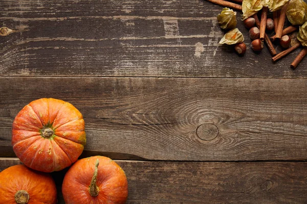 Top view of fresh whole pumpkins near cinnamon sticks, hazelnuts and physalis on dark wooden surface with copy space — Stock Photo