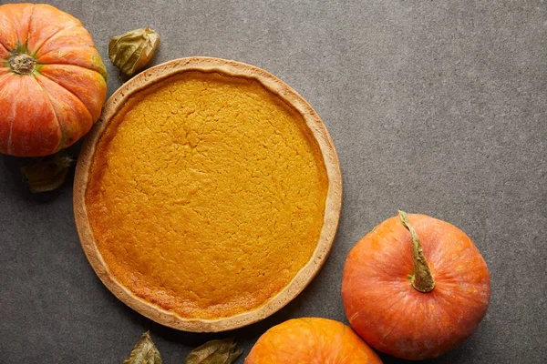 Draufsicht auf leckeren Kürbiskuchen in der Nähe ganzer reifer Kürbisse auf grauer Steinoberfläche — Stockfoto