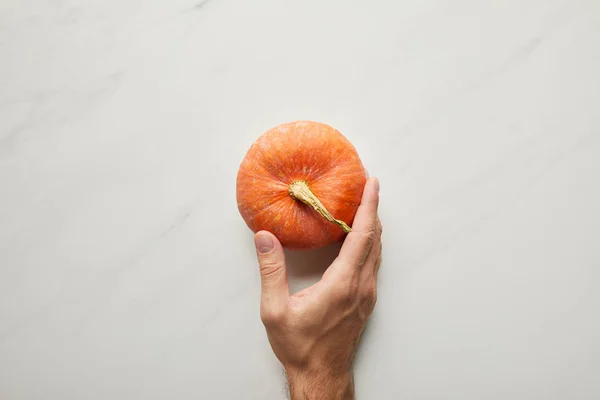 Vista recortada de la mano masculina cerca de toda la calabaza fresca en la superficie de mármol blanco - foto de stock