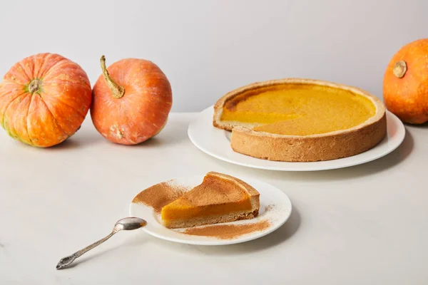 Delicioso pastel de calabaza con canela en polvo cerca de calabazas maduras enteras en la superficie de mármol blanco aislado en gris - foto de stock