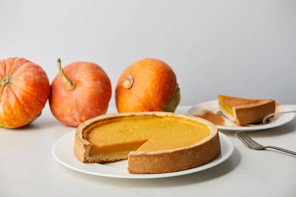 Tasty pumpkin pie near whole ripe pumpkins isolated on grey — Stock Photo