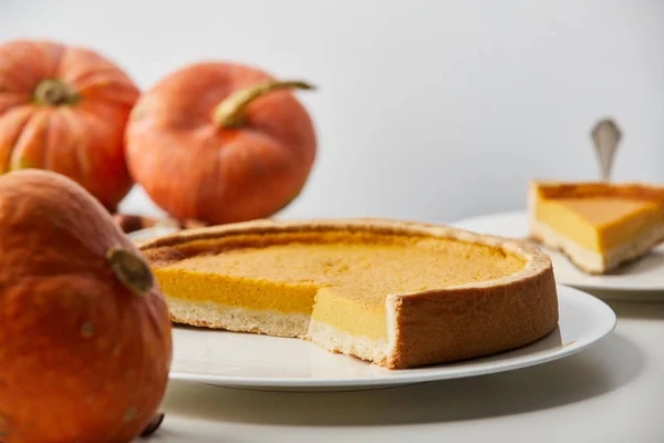 Foco seletivo de deliciosa torta de abóbora perto de abóboras frescas inteiras isoladas em cinza — Fotografia de Stock