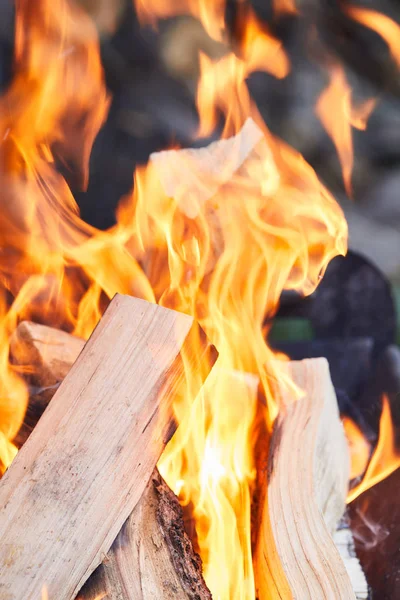 Foco seletivo de lenha com chamas de fogo na grelha — Fotografia de Stock