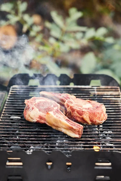 Raw meat grilling on barbecue grid and coal pieces outside — Stock Photo