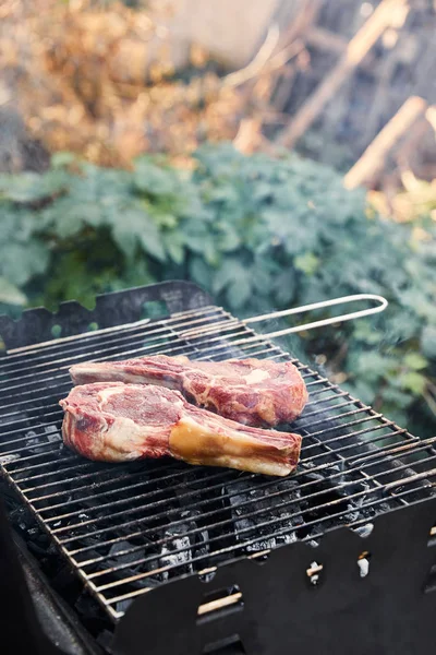 Raw meat grilling on barbecue grid and coal pieces outside — Stock Photo