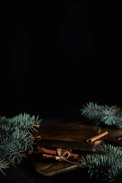 Branches d'épinette, planches à découper et bâtonnets de cannelle isolés sur noir avec espace de copie — Photo de stock