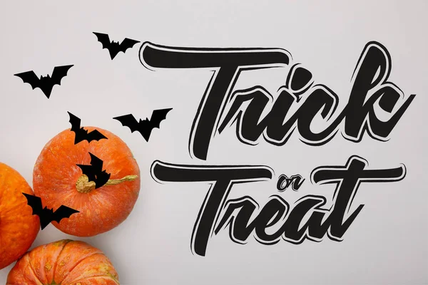 Draufsicht auf Kürbis auf weißem Hintergrund mit Trick oder Leckerbissen Illustration, Halloween-Dekoration — Stockfoto