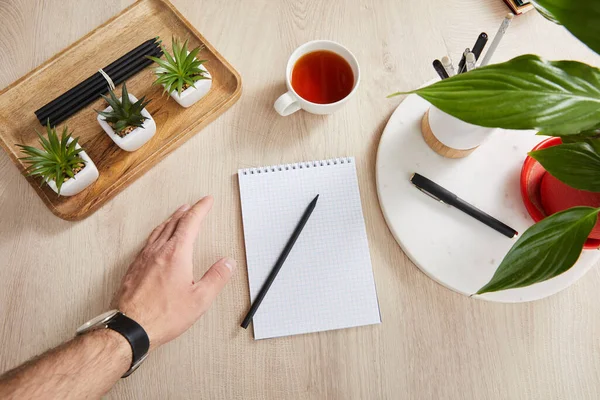 Vista superior da mão masculina perto de plantas verdes, xícara de chá e caderno em branco com lápis e canetas na superfície de madeira — Fotografia de Stock