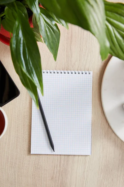 Top view of green plant with leaves and blank notebook with pencil on wooden surface — Stock Photo