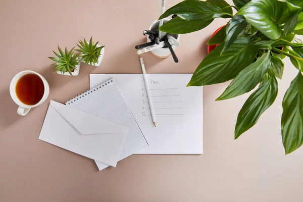 Vista superior de plantas verdes, taza de té, sobre, cuaderno en blanco, lápices y bolígrafos y papel con letras planas en superficie beige - foto de stock