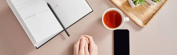 Top view of female hands, smartphone near green plants on wooden board, cup of tea, planner with pencil on beige surface, panoramic shot — Stock Photo