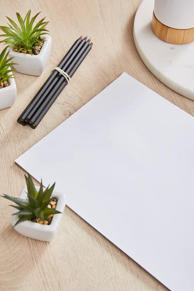 Plantas verdes, lápices de colores cerca de papel blanco y tablero de piedra con soporte en la superficie de madera - foto de stock