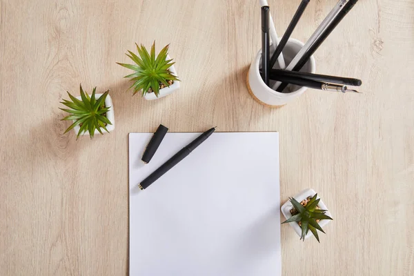 Top view of green plants, pencils in holder and white paper with pen on wooden surface — Stock Photo