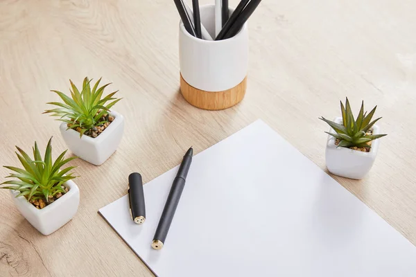 Green plants, pencils in holder and white paper with pen on wooden surface — Stock Photo