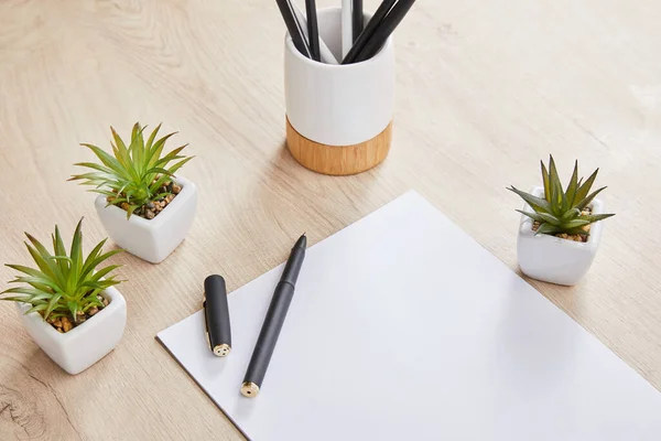 Plantas verdes, lápices en soporte y papel blanco con pluma sobre superficie de madera - foto de stock