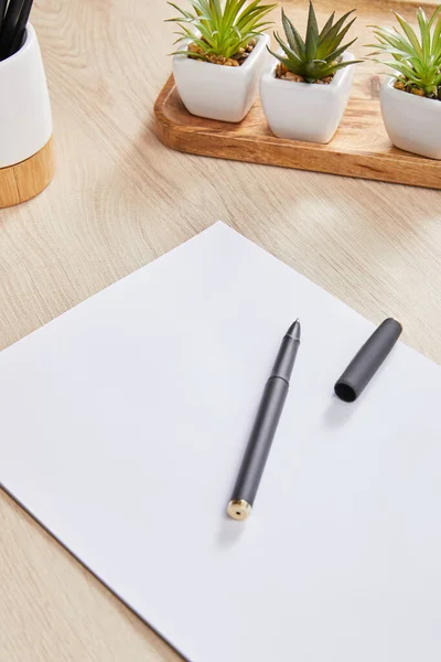 Green plants, white paper with pen on wooden surface — Stock Photo