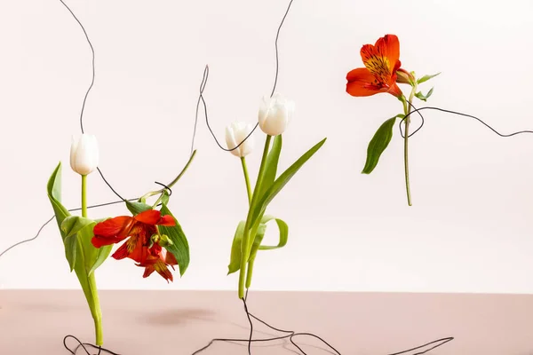 Floral composition with tulips and red Alstroemeria on wires isolated on white — Stock Photo