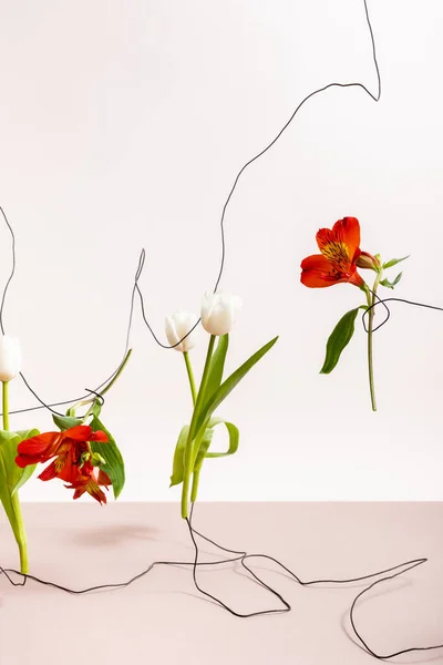 Квіткова композиція з тюльпанами і червоними альстромеріями на дротах ізольовані на білому — стокове фото