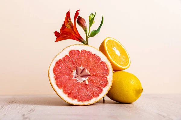 Composizione floreale e fruttata con alstroemeria rossa e agrumi su fondo beige — Foto stock