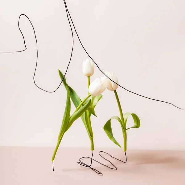 Composición floral con tulipanes blancos aislados en beige - foto de stock