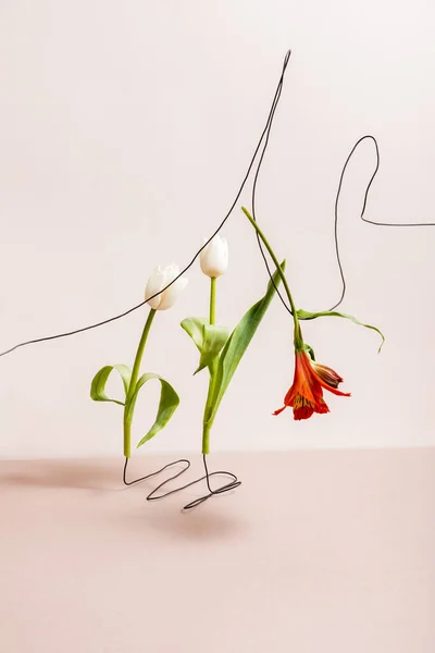 Composição floral com tulipas brancas e vermelho Alstroemeria em fios isolados em bege — Fotografia de Stock