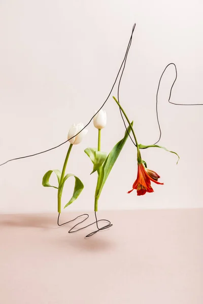 Floral composition with white tulips and red Alstroemeria on wires isolated on beige — Stock Photo