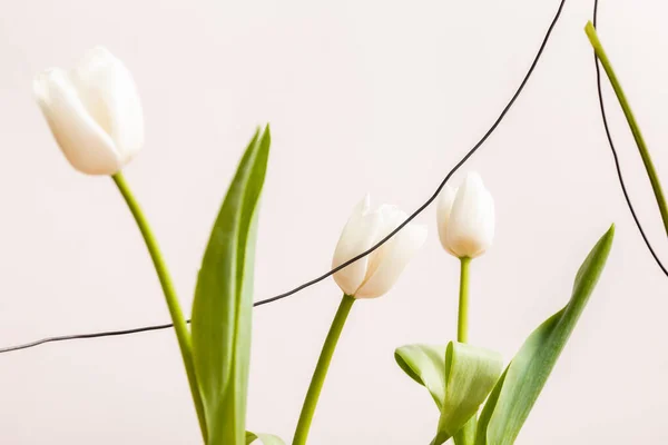 Composición floral con tulipanes blancos y alambres aislados en beige - foto de stock