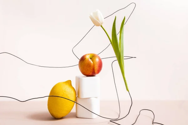 Fruta y composición floral con tulipán en alambres y limón con manzana en cubos aislados en beige - foto de stock