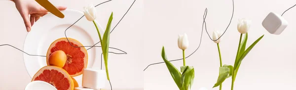 Collage of floral and fruit composition with tulips on wires and citrus fruits near cubes and female hand on plate isolated on beige — Stock Photo