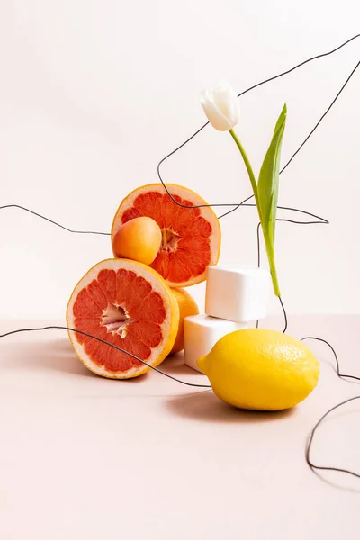 Цветочный и фруктовый состав с тюльпаном на проволоке и цитрусовыми фруктами рядом с кубиками, изолированными на бежевом — стоковое фото